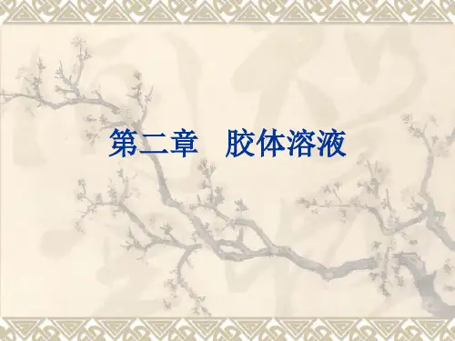 第二章 胶体溶液(2011.9)