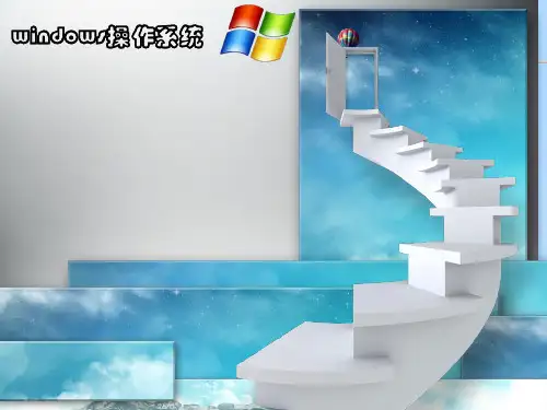 网络经济--windows案例分析