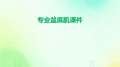 专业盆底肌课件ppt