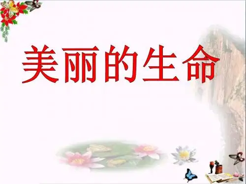 《美丽的生命》珍爱生命PPT教学课件
