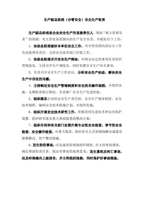 生产副总经理(分管安全)安全生产职责