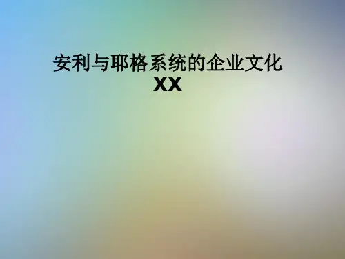 安利与耶格系统的企业文化XX