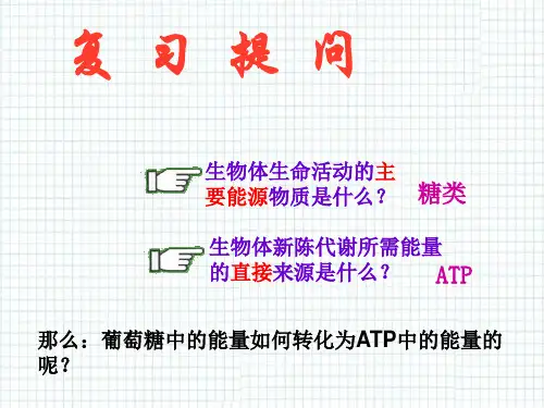有氧呼吸PPT教学课件