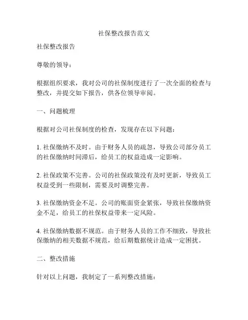 社保整改报告范文
