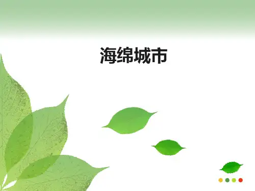 海绵城市PPT
