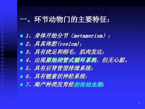 第六章    环节动物门(Annelida)_PPT幻灯片