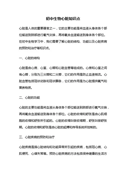 初中生物心脏知识点