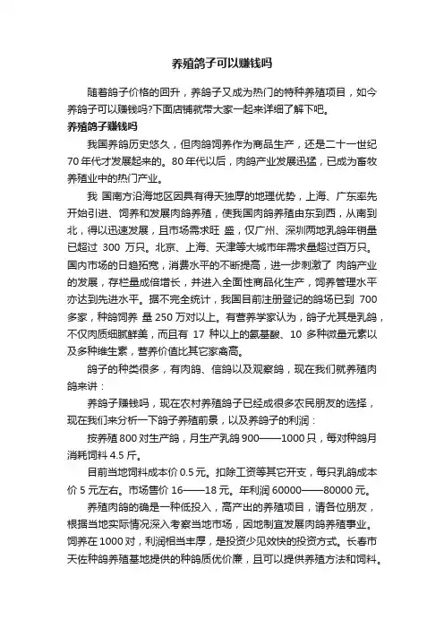 养殖鸽子可以赚钱吗