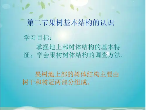 第二节果树基本结构的认识