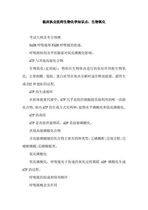 临床执业医师生物化学知识点：生物氧化