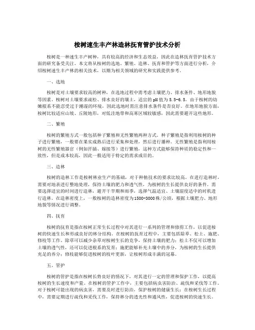 桉树速生丰产林造林抚育管护技术分析