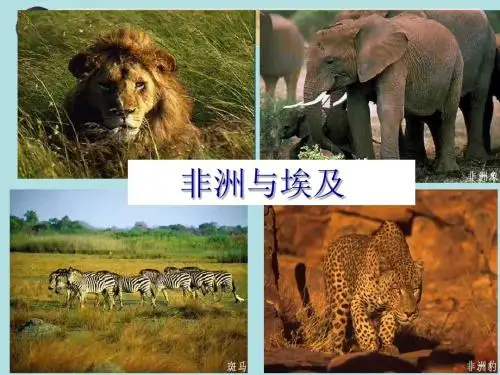 【高中地理】高考复习非洲和埃及ppt