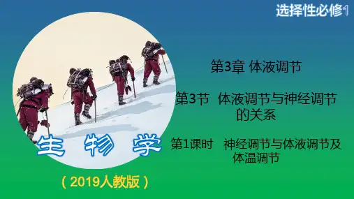 神经调节与体液调节关系课件-高二上学期生物人教版(2019)选择性必修1