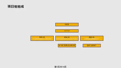 信息化咨询方案PPT课件