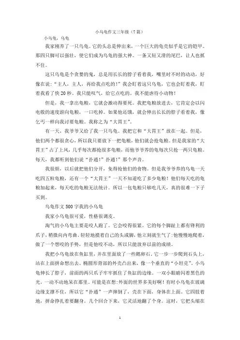 小乌龟作文三年级(7篇)