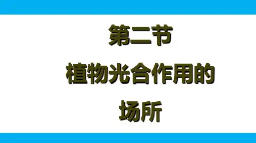 植物光合作用的场所----苏教版生物七年级上册