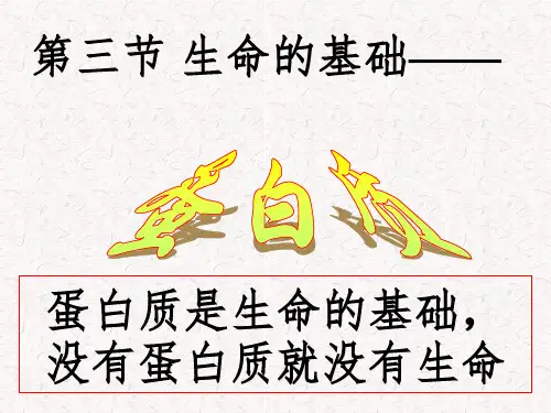 高中化学蛋白质(课堂PPT)