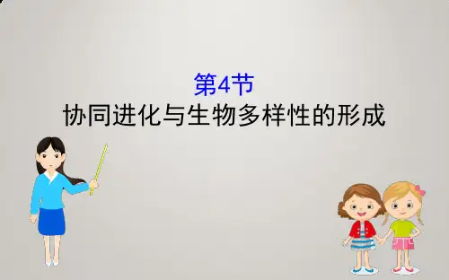 2019-2020学年   新人教版 必修II  协同进化与生物多样性的形成(36张) 课件