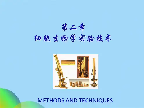 细胞生物学第二章细胞生物学实验技术(共103张PPT)