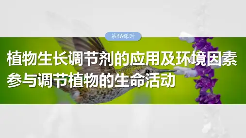高考生物专项复习《植物生长调节剂的应用及环境因素参与调节植物的生命活动》