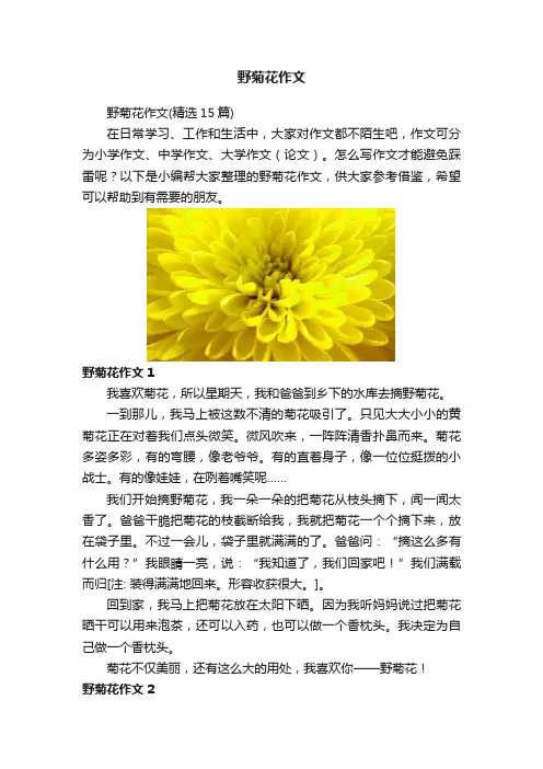 野菊花作文