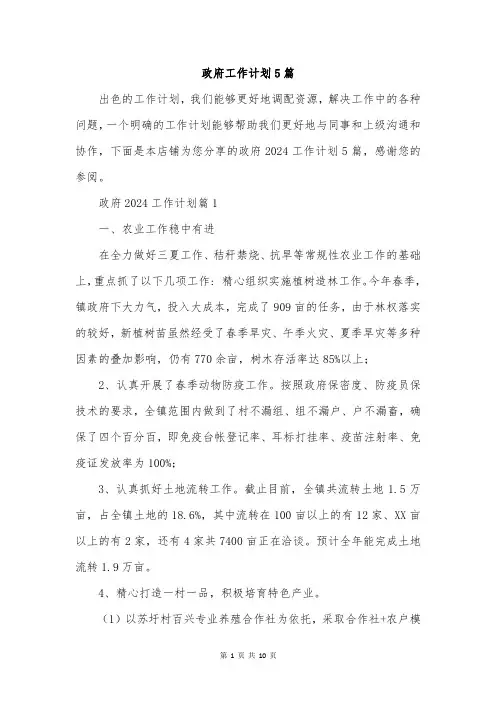 政府工作计划5篇
