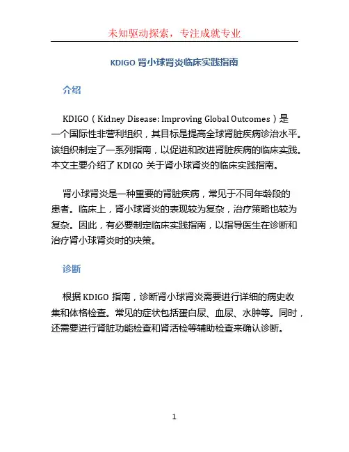 KDIGO肾小球肾炎临床实践指南