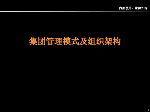 集团公司架构资料