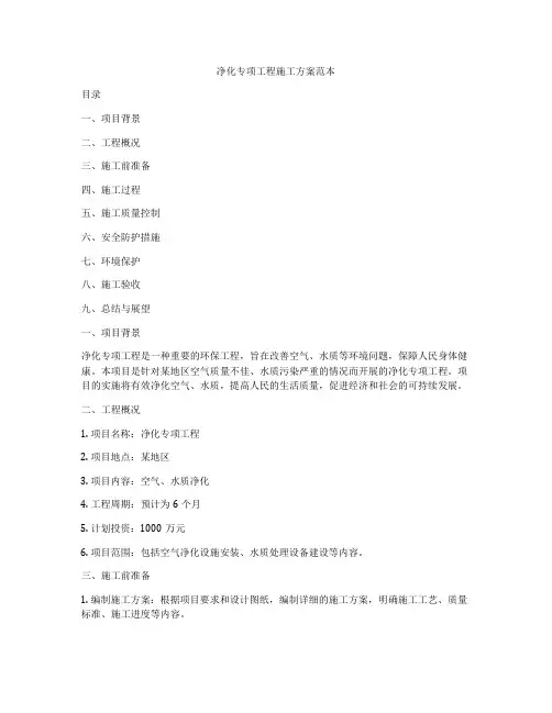 净化专项工程施工方案范本