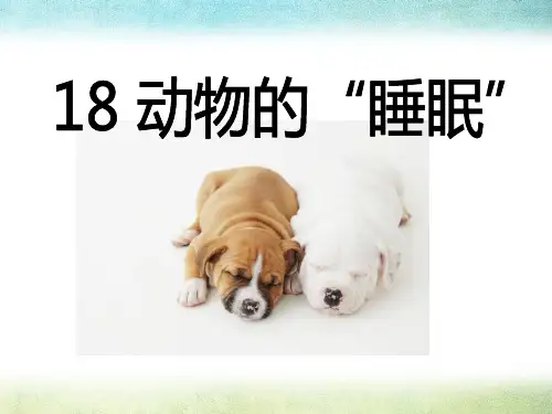 语文A版语文三下《动物的“睡眠”》ppt课件