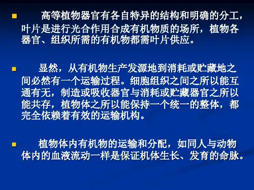 第六章 植物体内有机物的运输