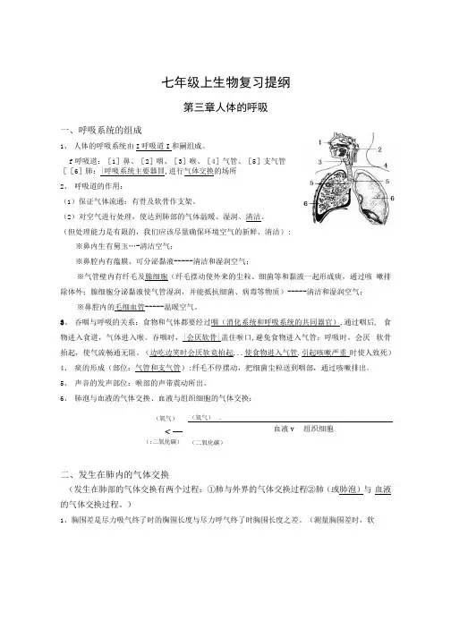 七上生物第三章复习总结提纲.docx