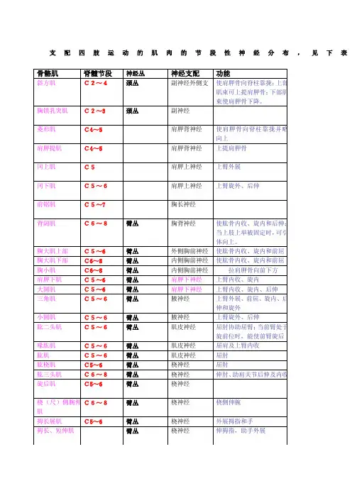 四肢肌肉神经支配