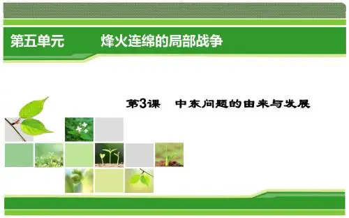 历史(人教版选修3)课件：5-3 中东问题的由来与发展