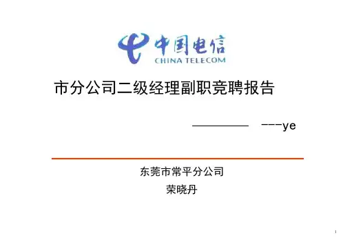 XX市电信三级经理竞聘报告PPT