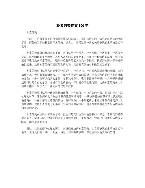 朴素的美作文500字