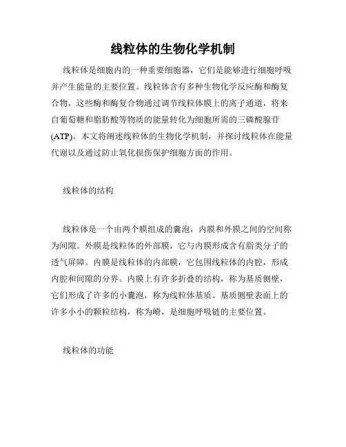 线粒体的生物化学机制