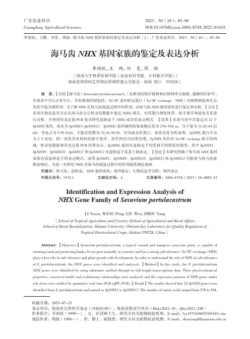 海马齿NHX_基因家族的鉴定及表达分析
