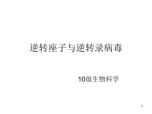 逆转座子