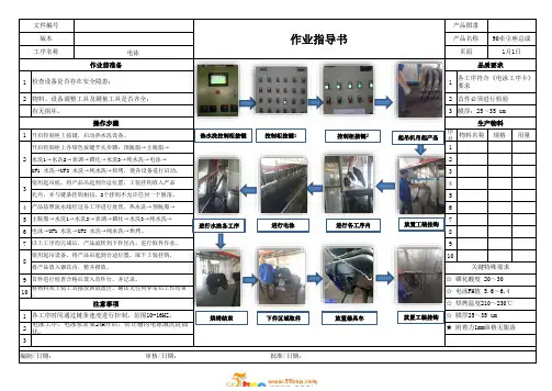 电泳作业指导书范例