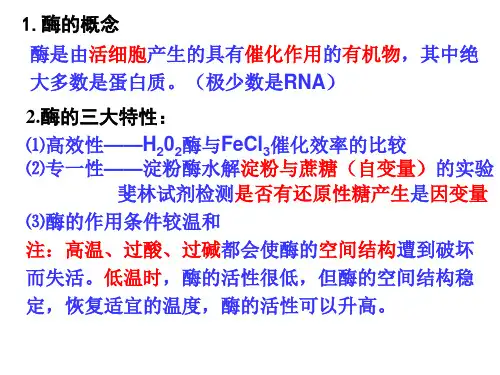 高中生物必修一第五章细胞的能量供应和利用复习课件