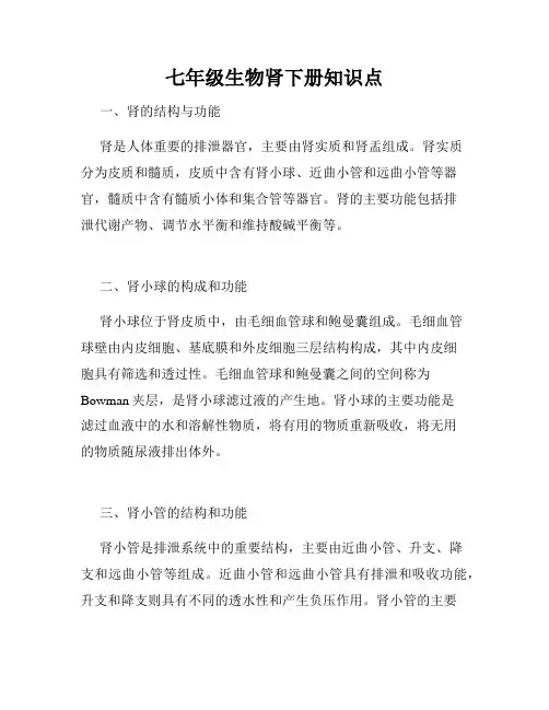 七年级生物肾下册知识点