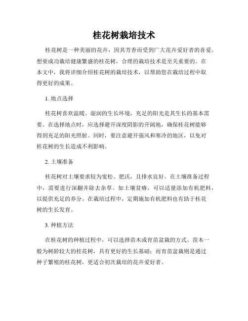 桂花树栽培技术