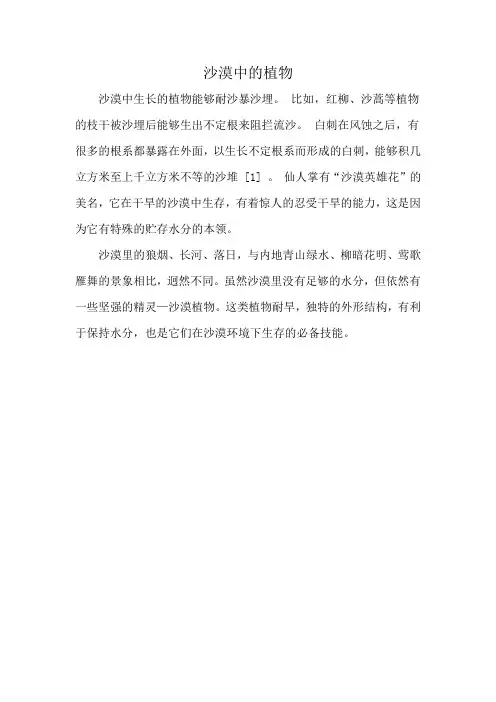 沙漠中的植物