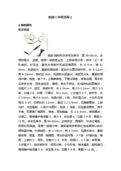 柴胡（中药名称）