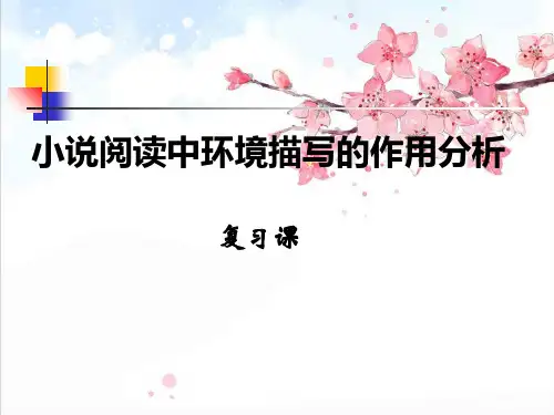 小说阅读中环境描写的作用精品PPT课件
