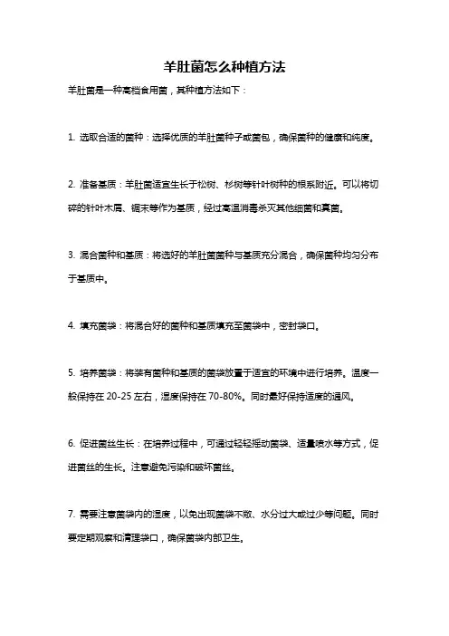 羊肚菌怎么种植方法