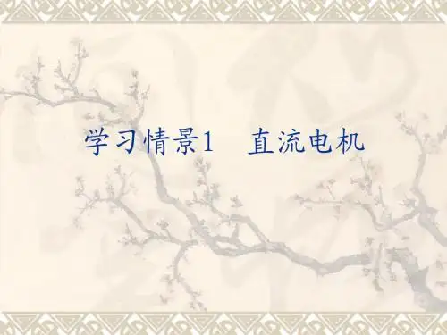 电机与电气控制1  直流电机