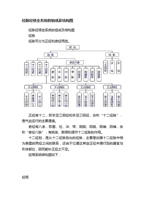 经脉经络全系统的组成及结构图