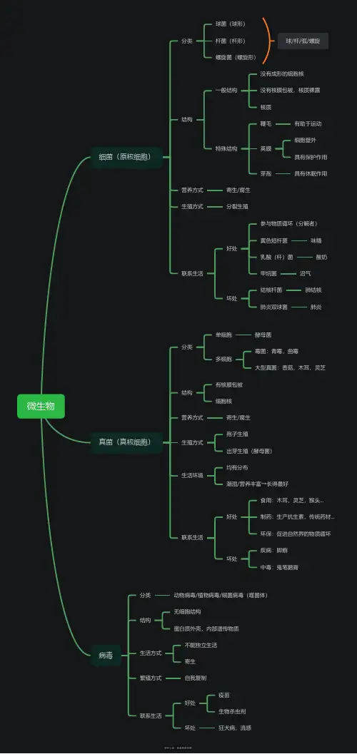 八年级上册生物微生物思维导图